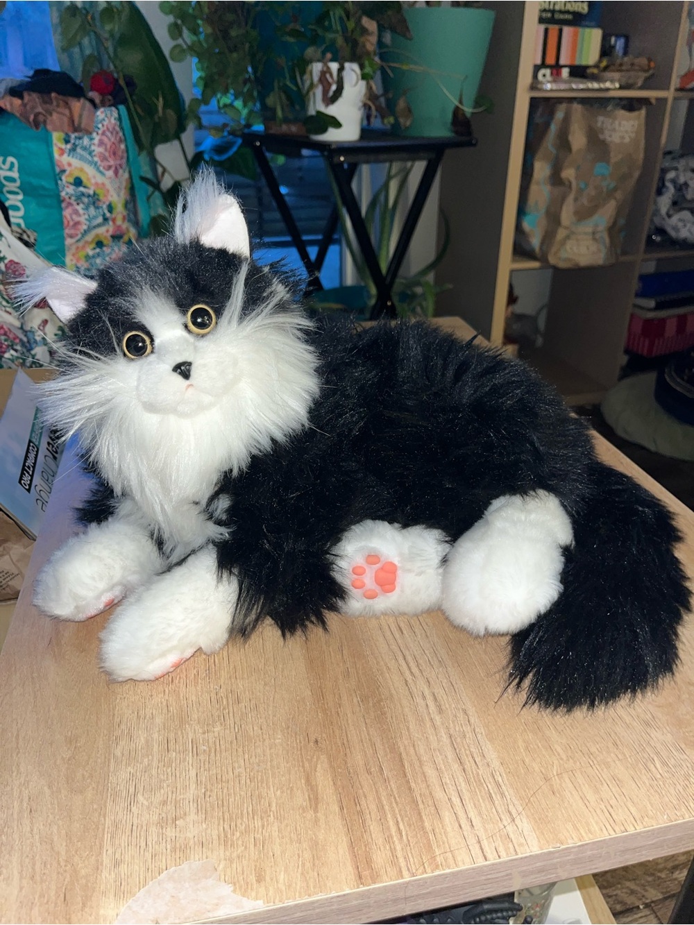 Plush Black & White Cat Stuffed Animal - Brand Unknown